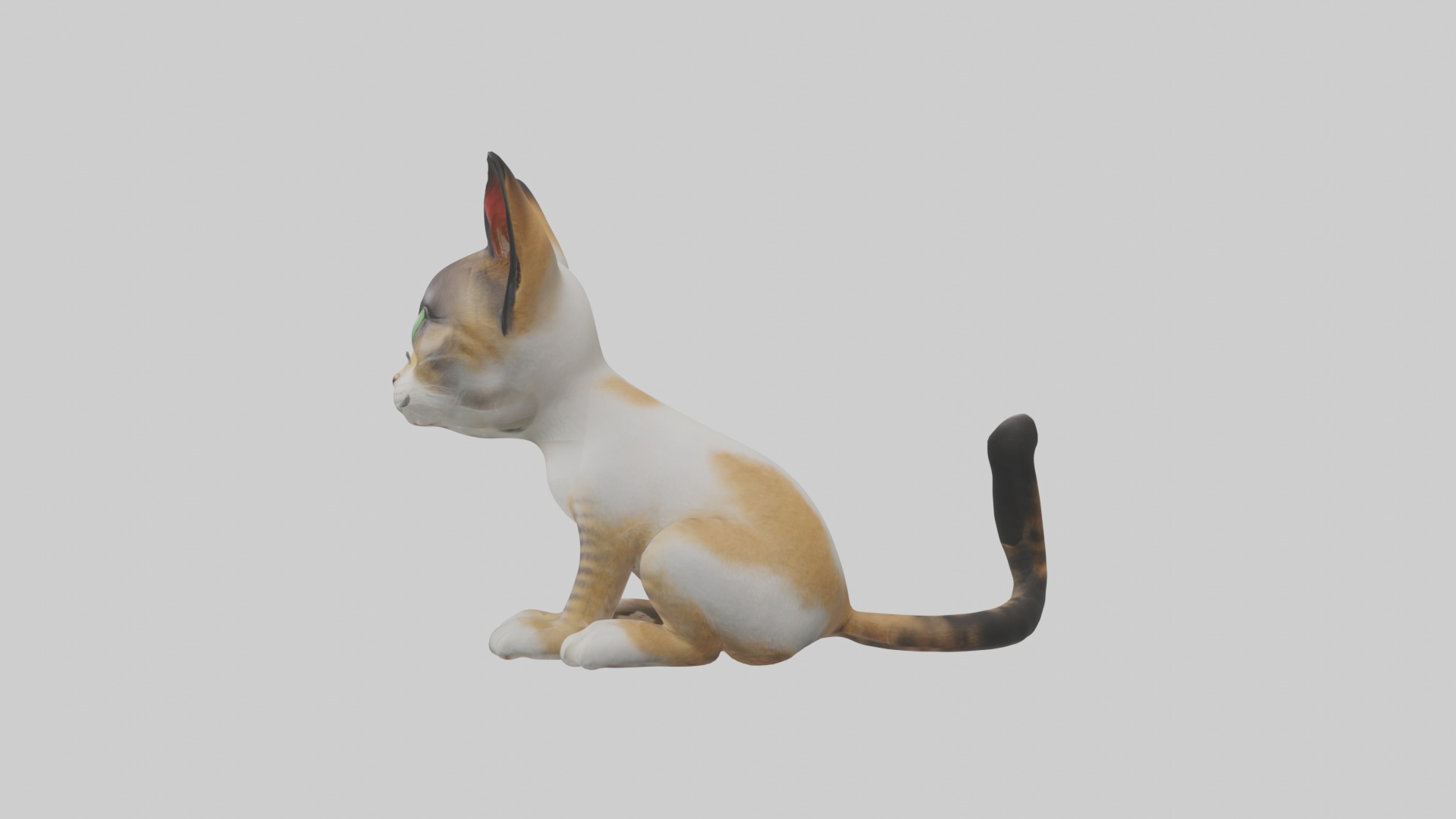 Sitting Asian Cat model Low-poly 3D model_6