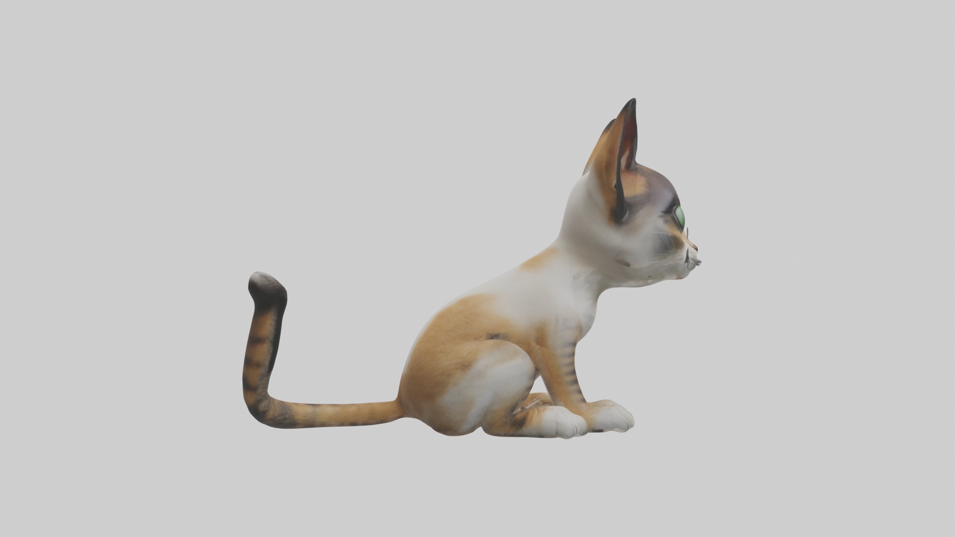 Sitting Asian Cat model Low-poly 3D model_7