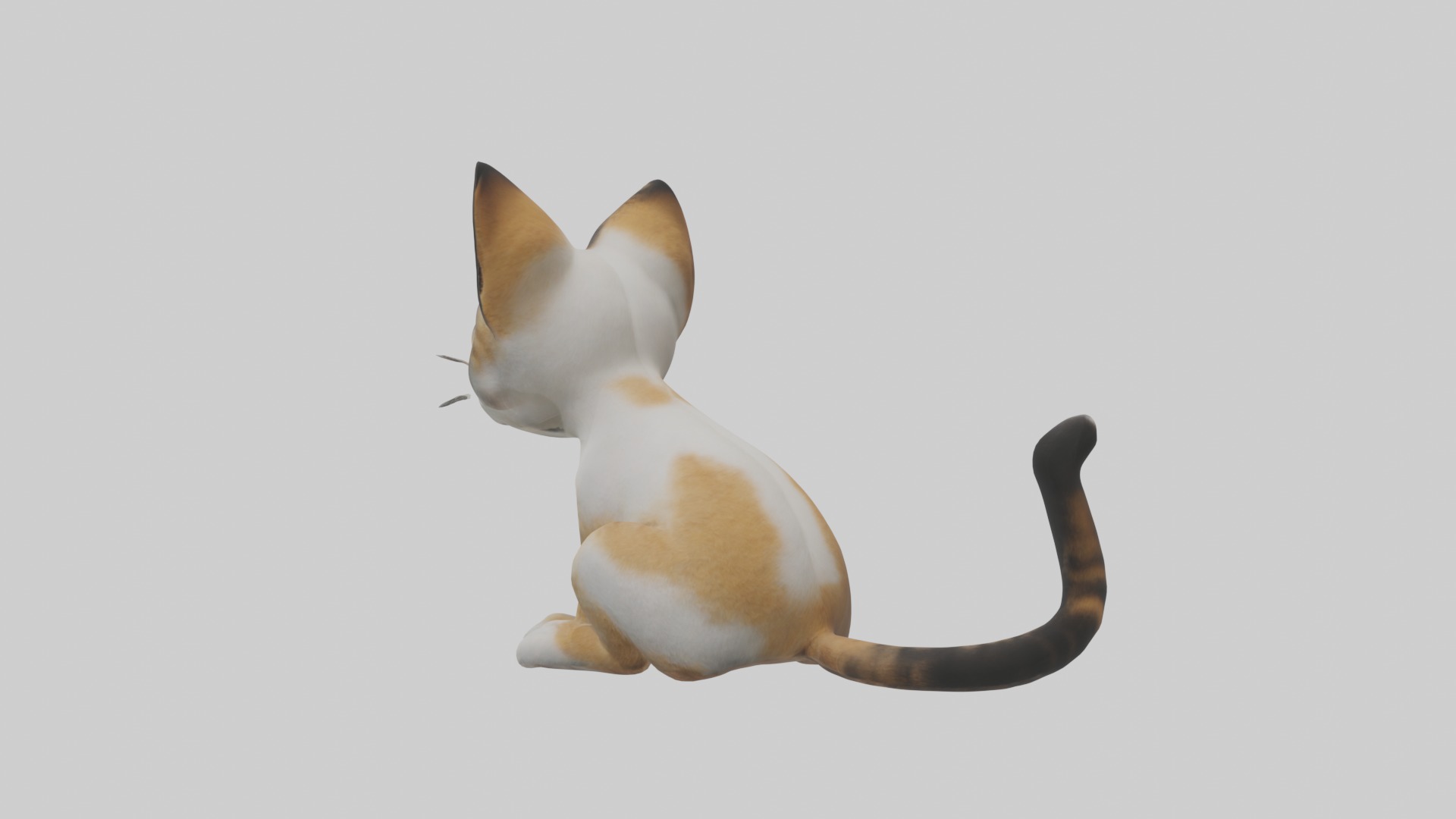 Sitting Asian Cat model Low-poly 3D model_2