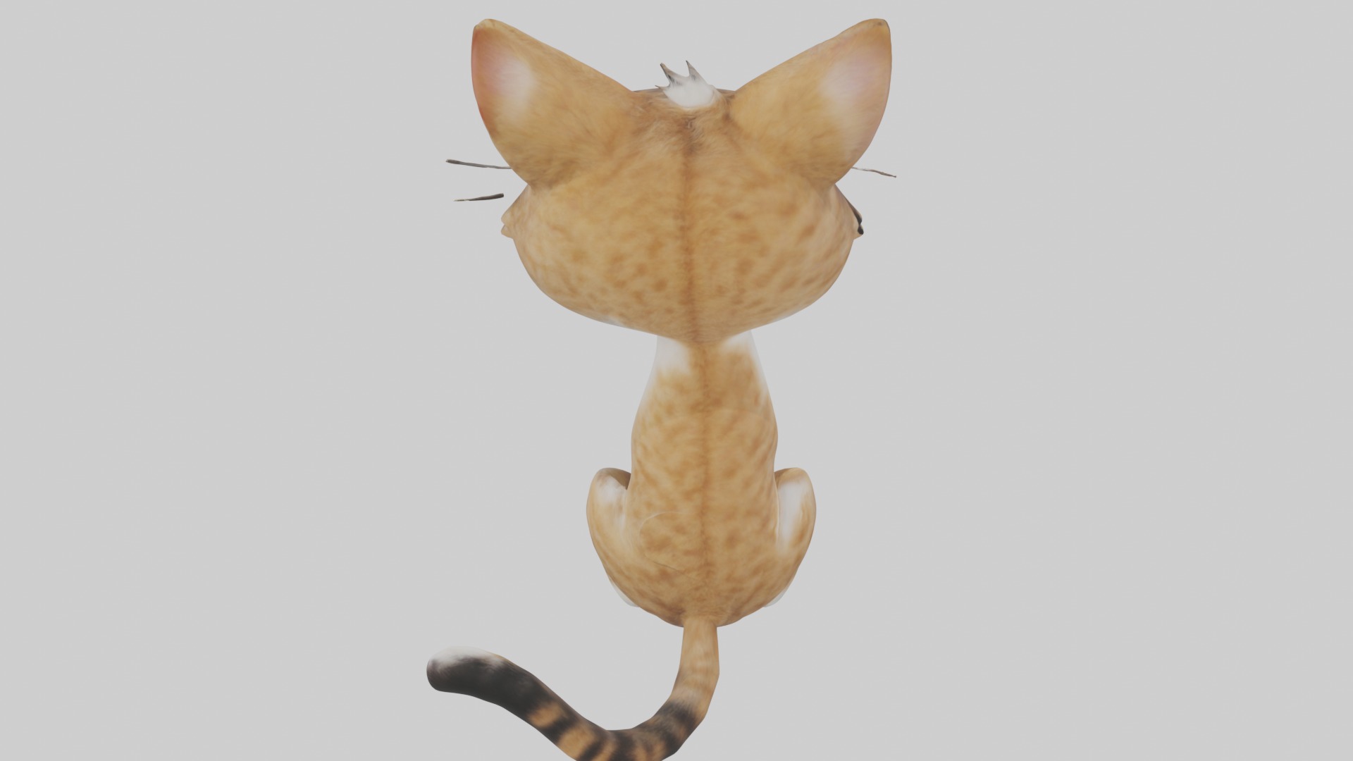 Sitting American Bobtail Cat model Low-poly 3D model_9
