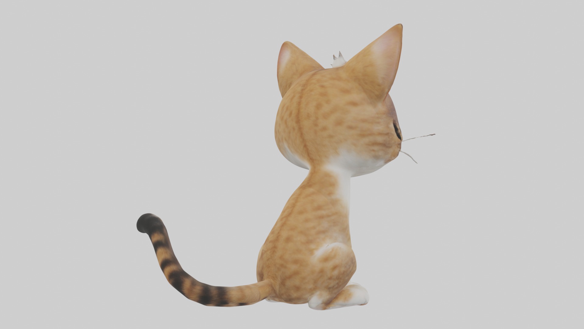Sitting American Bobtail Cat model Low-poly 3D model_5