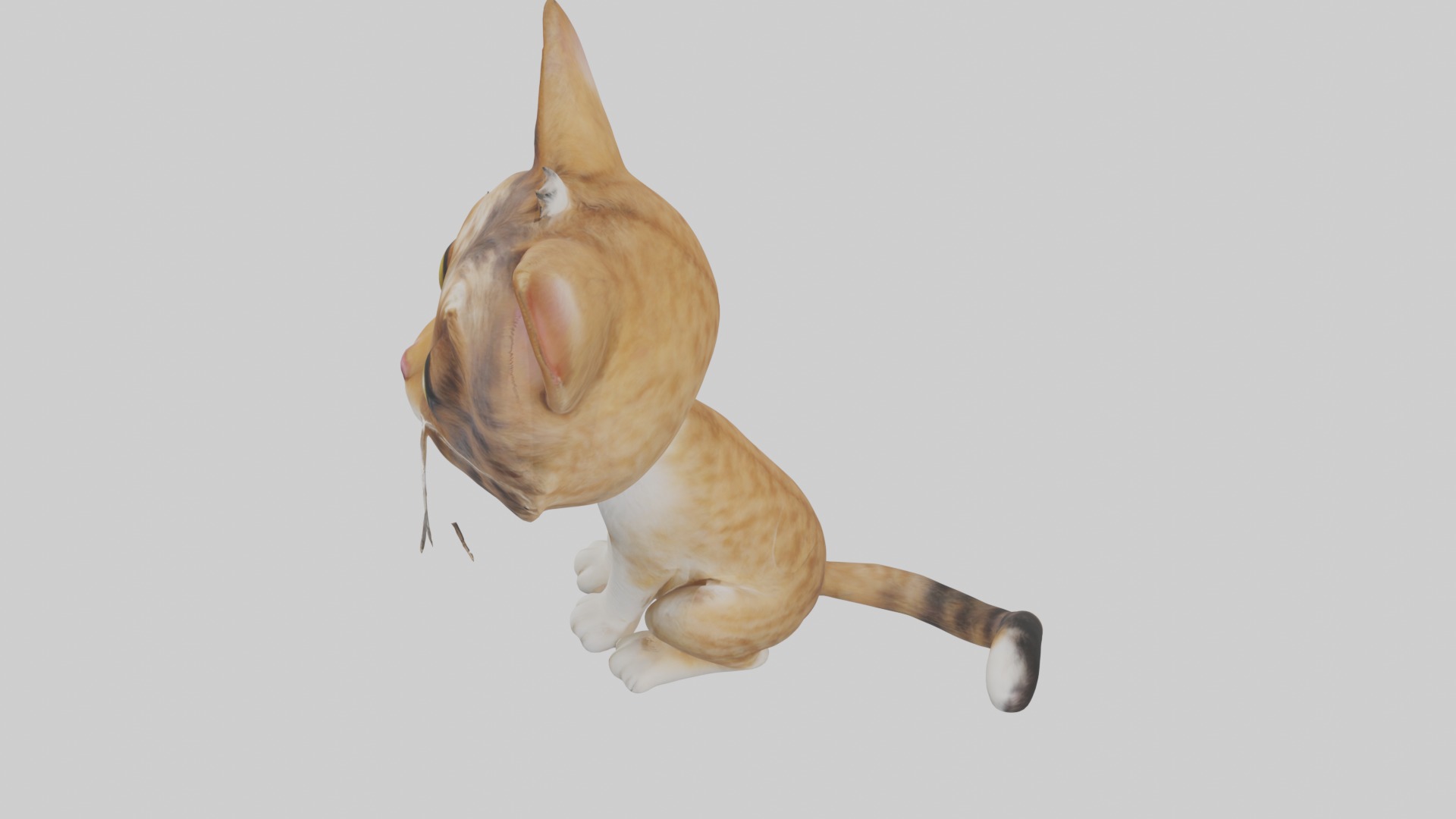 Sitting American Bobtail Cat model Low-poly 3D model_11