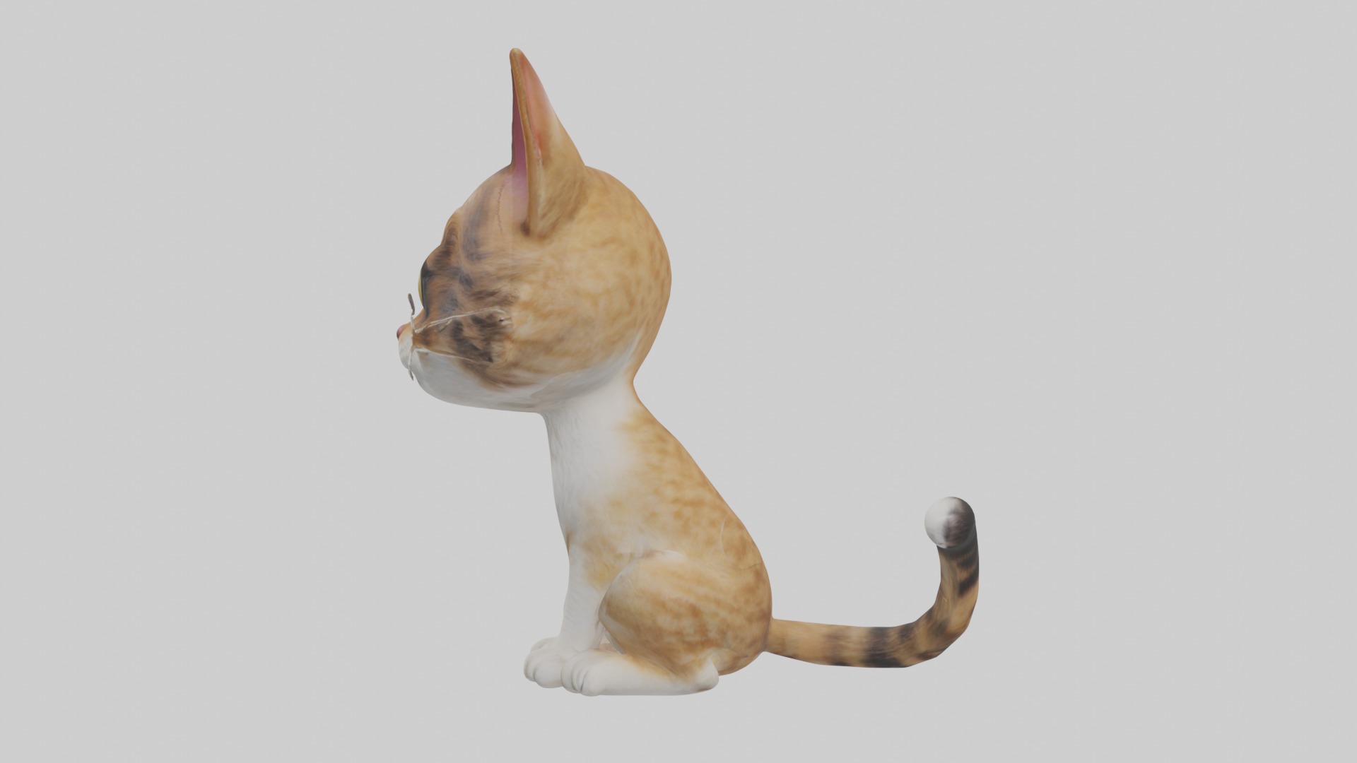 Sitting American Bobtail Cat model Low-poly 3D model_6