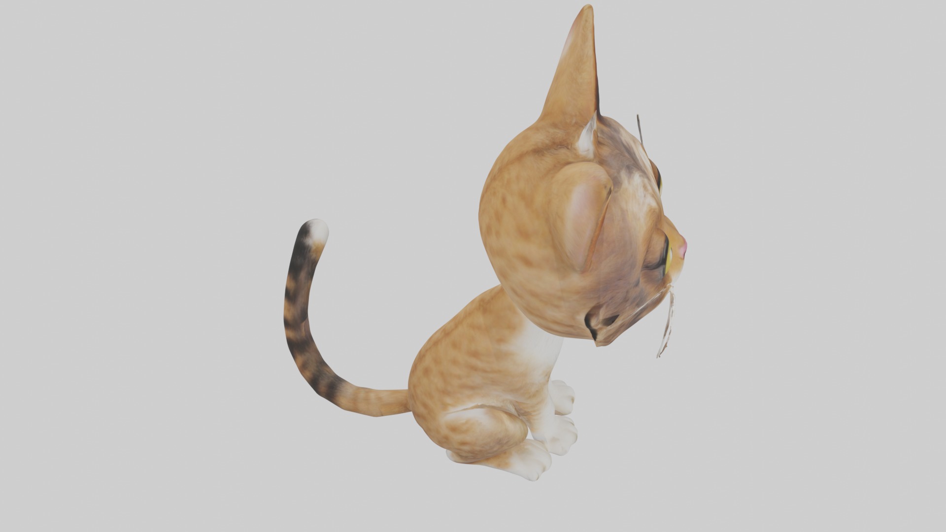 Sitting American Bobtail Cat model Low-poly 3D model_12