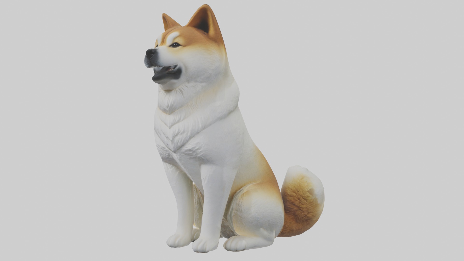 Sitting Akita model Low-poly 3D model_1