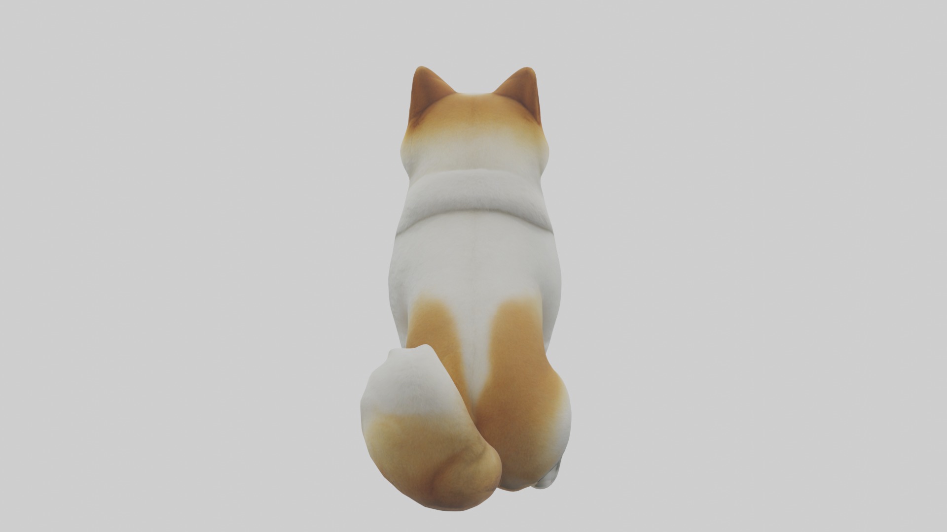 Sitting Akita model Low-poly 3D model_2