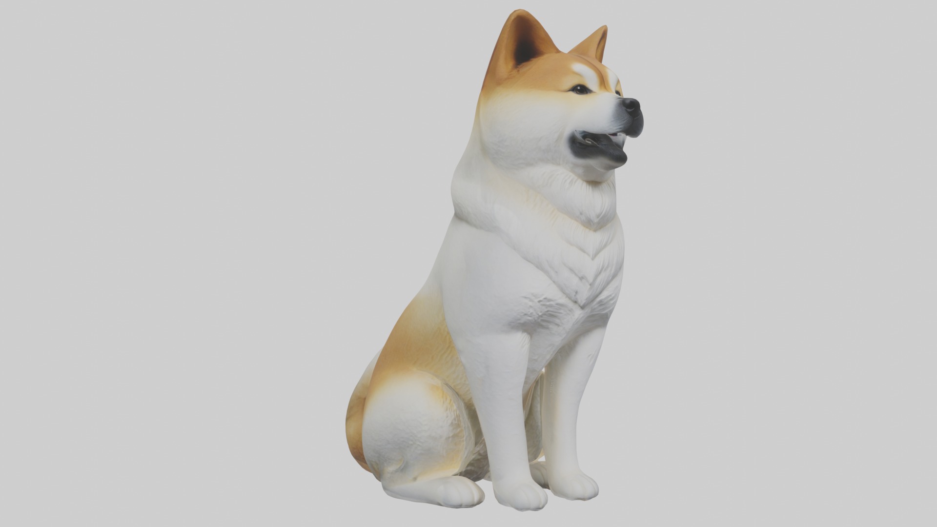 Sitting Akita model Low-poly 3D model_5