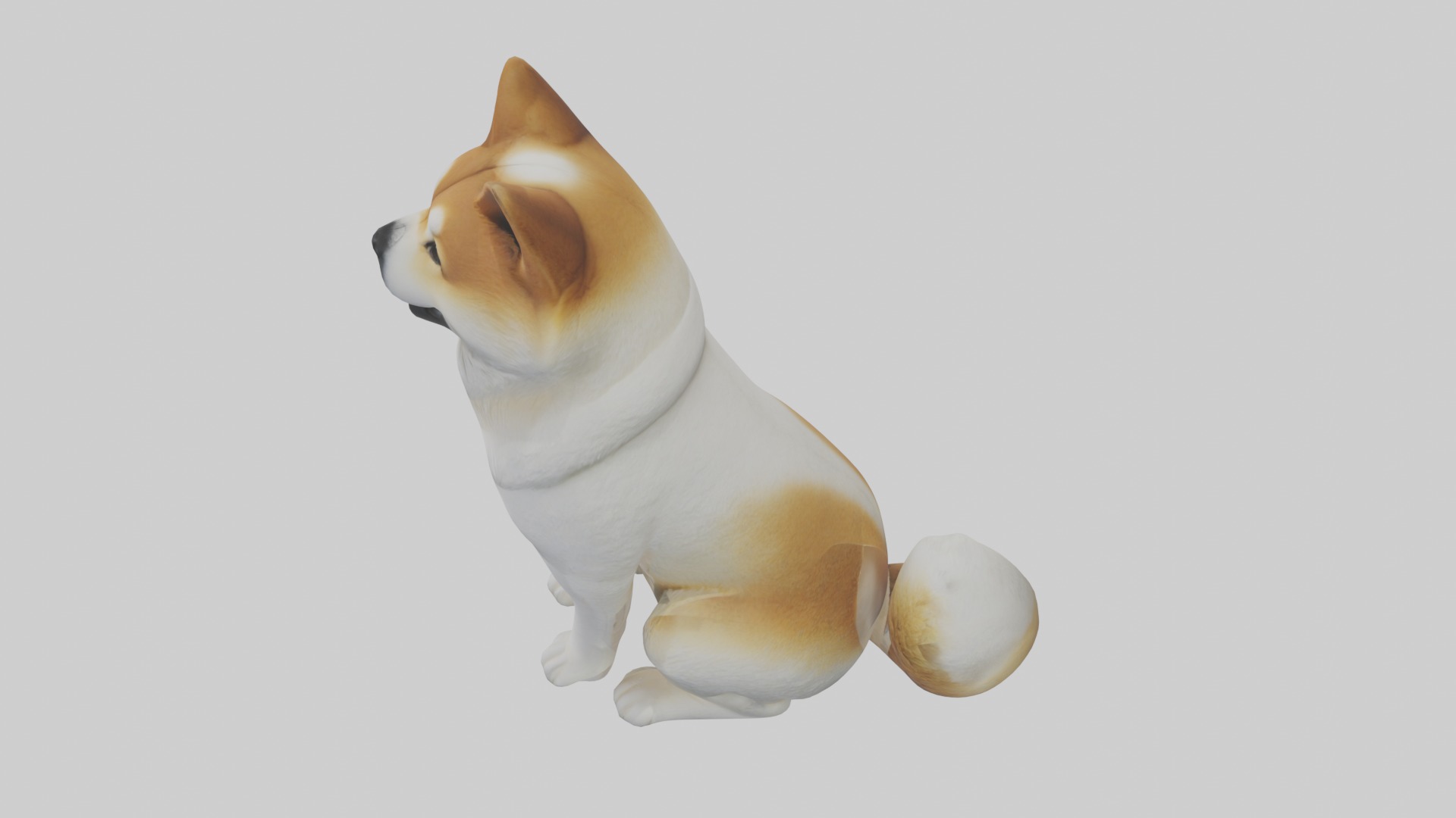 Sitting Akita model Low-poly 3D model_11
