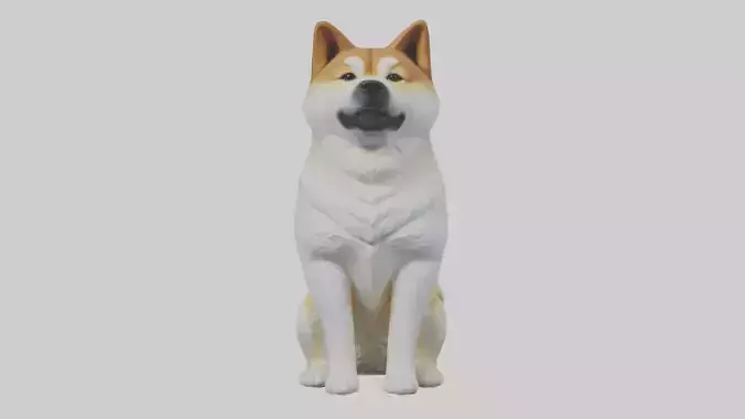 Sitting Akita model