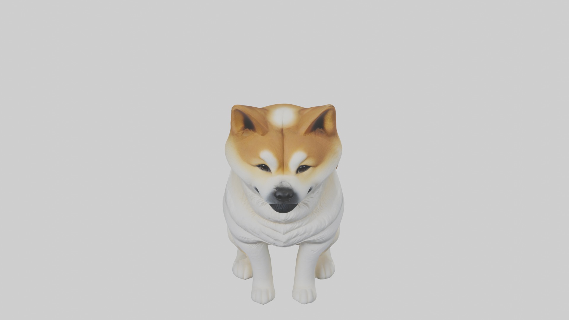 Sitting Akita model Low-poly 3D model_10