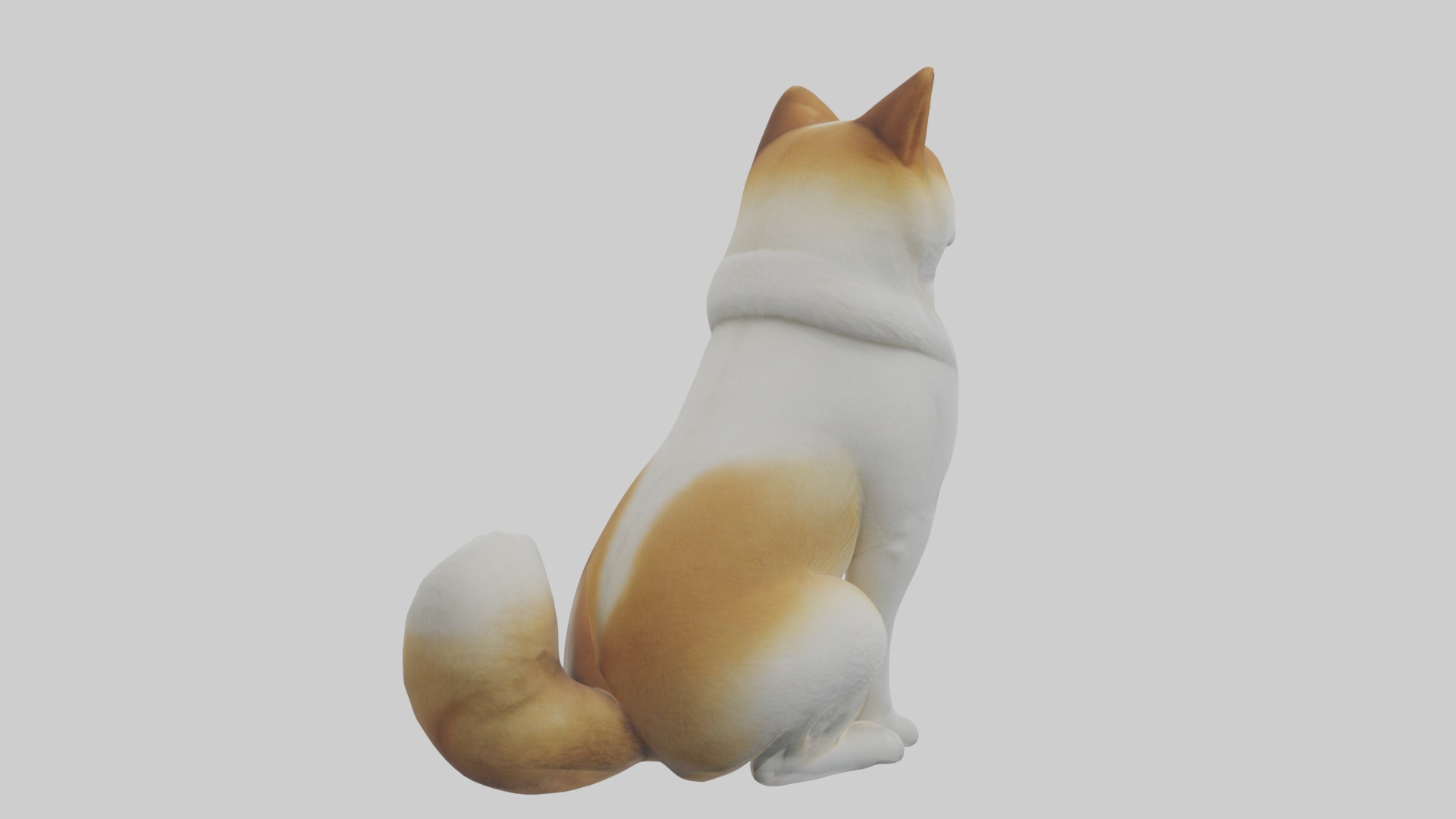 Sitting Akita model Low-poly 3D model_4