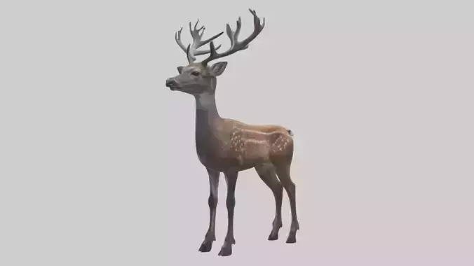 Sika deer Low-poly 3D model