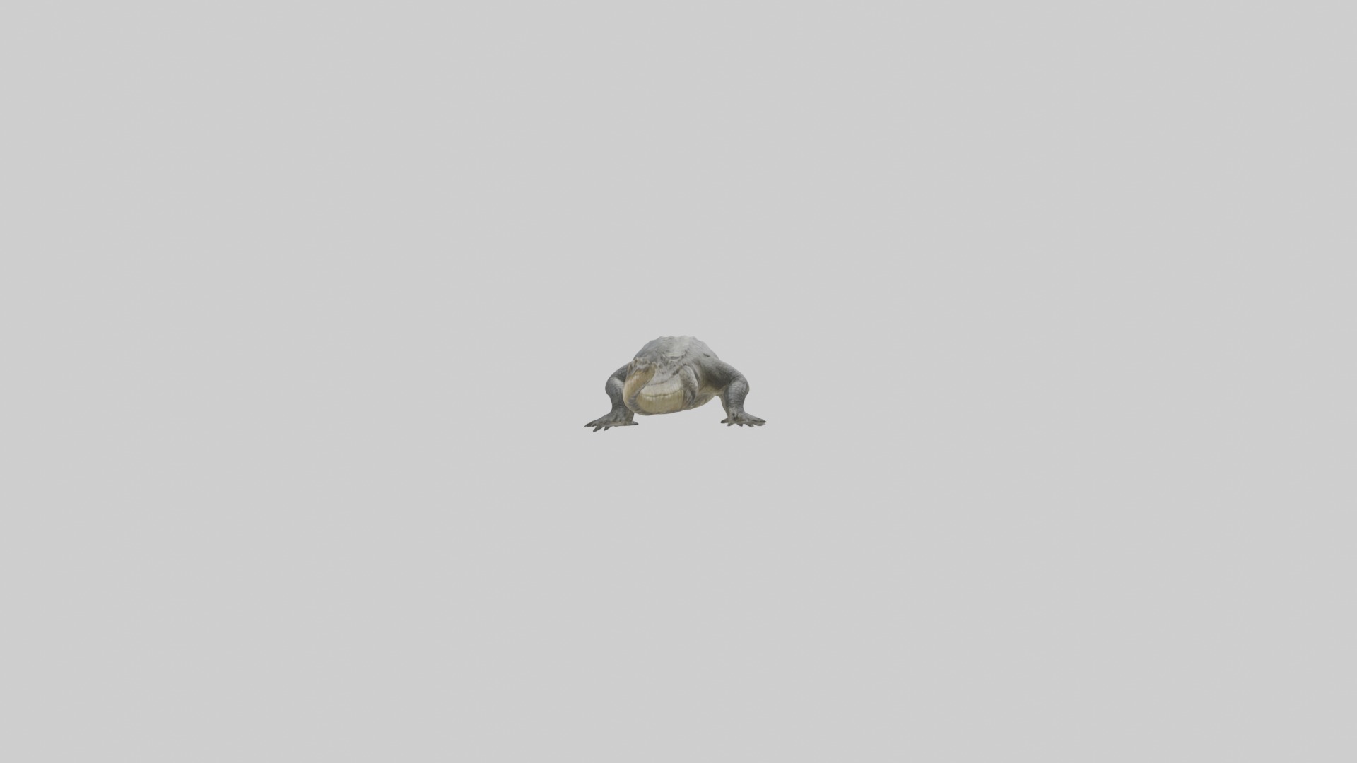 Siamese crocodile Low-poly 3D model_1