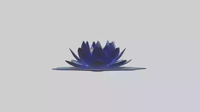 Sapphire Lotus