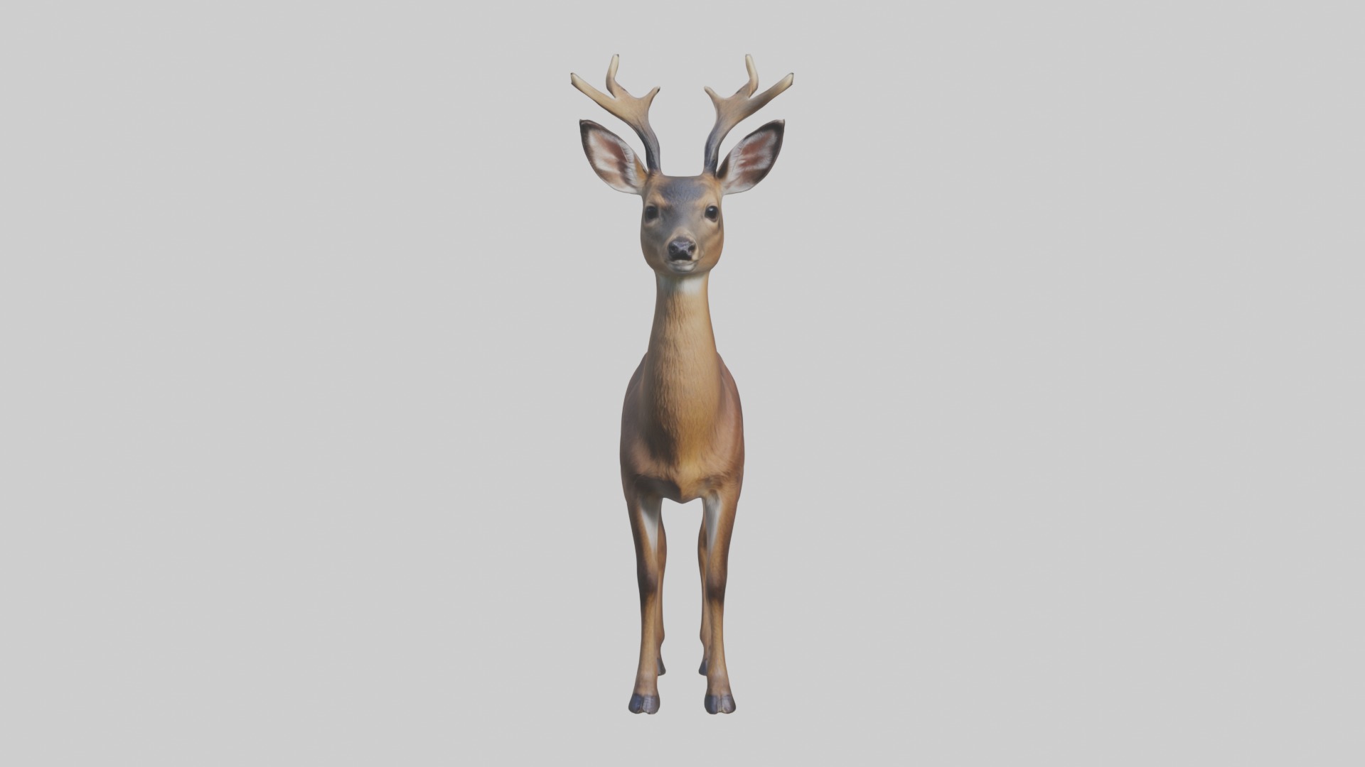 Roe deer Low-poly 3D model_3