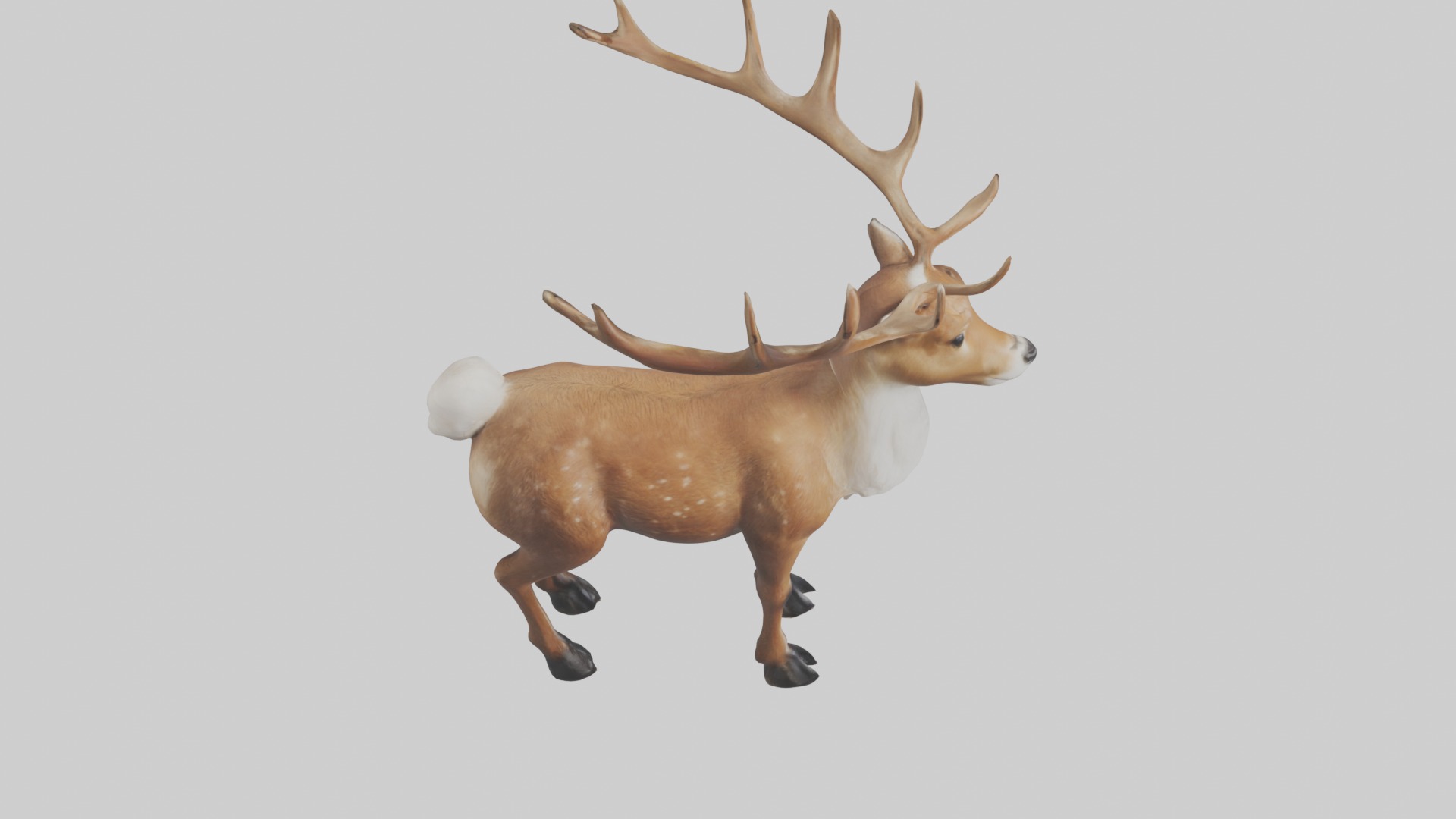Reindeer deer Low-poly 3D model_12