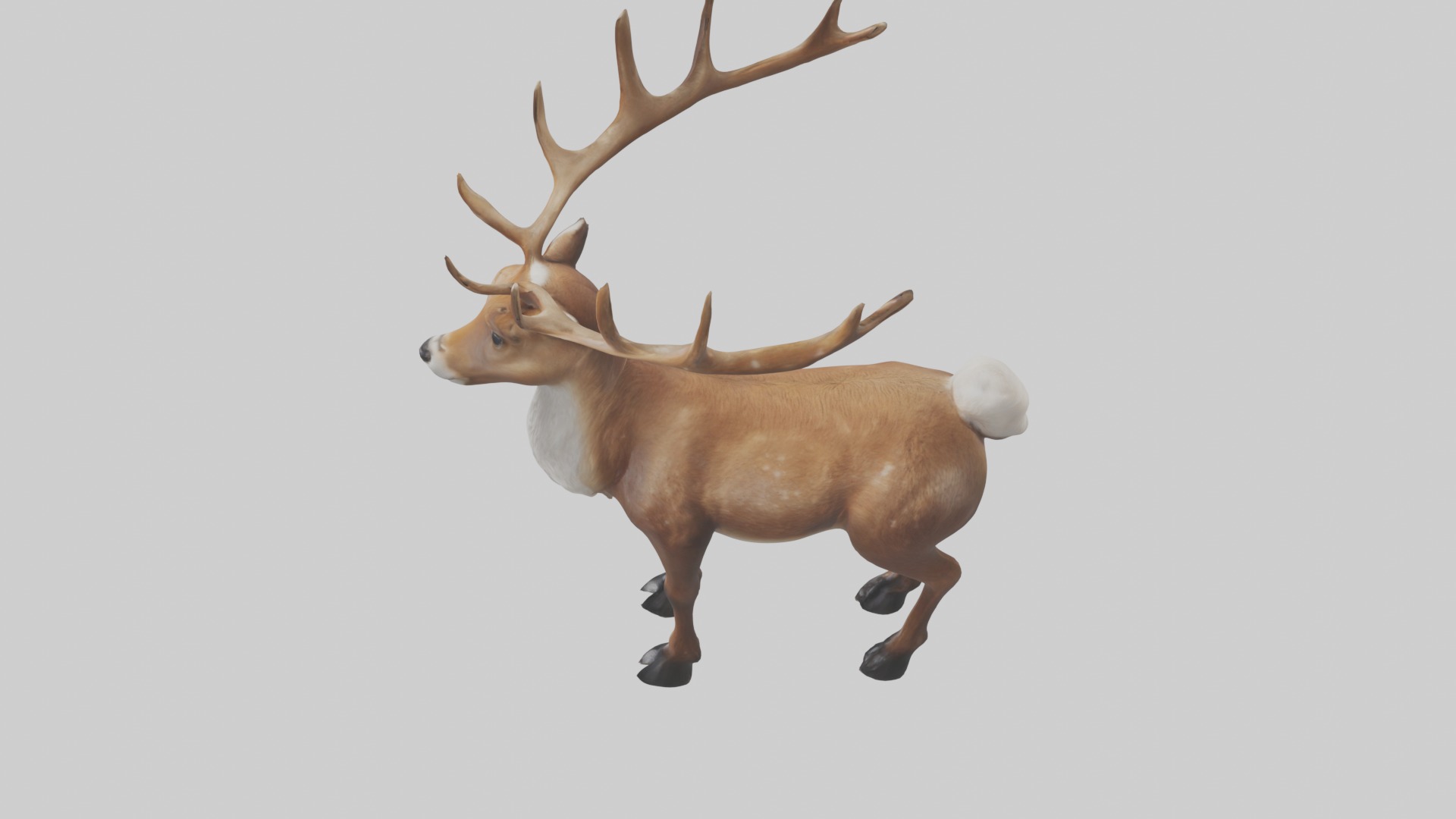 Reindeer deer Low-poly 3D model_11
