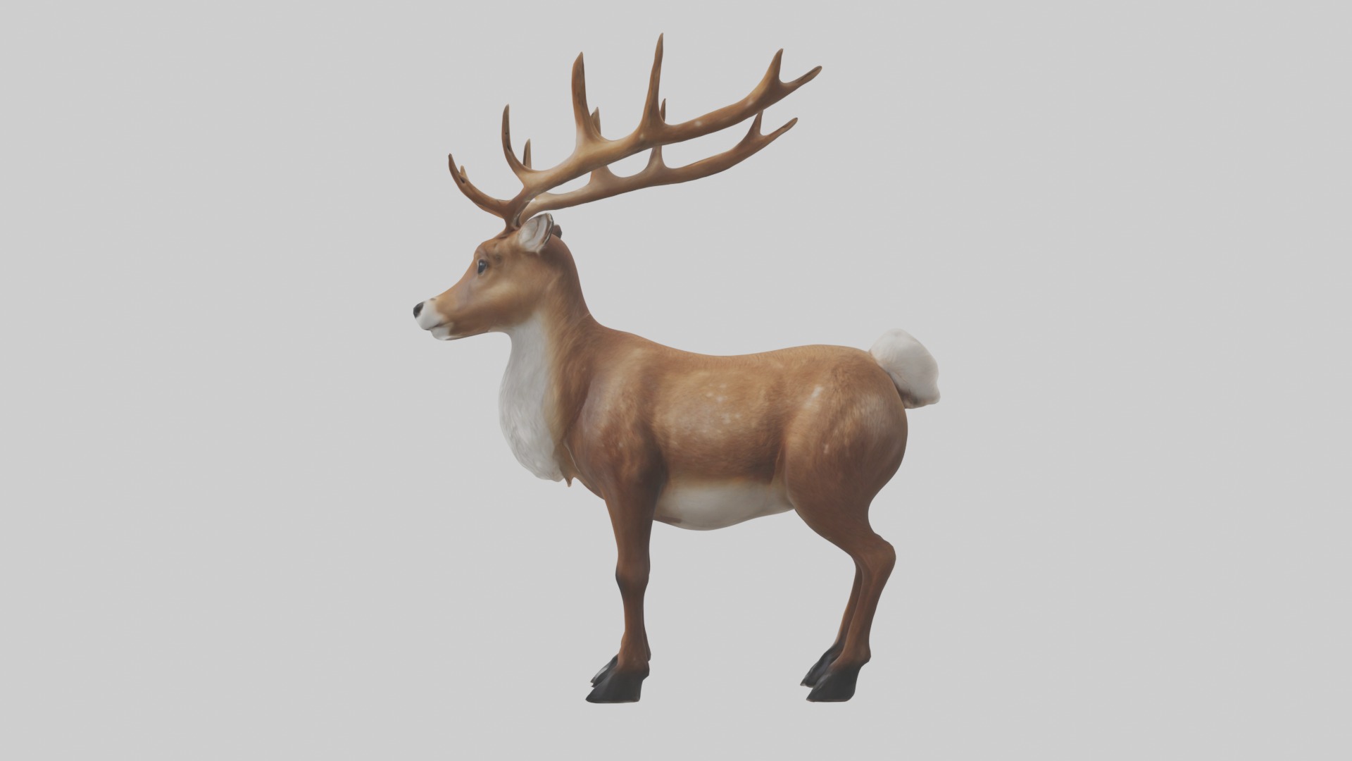 Reindeer deer Low-poly 3D model_1