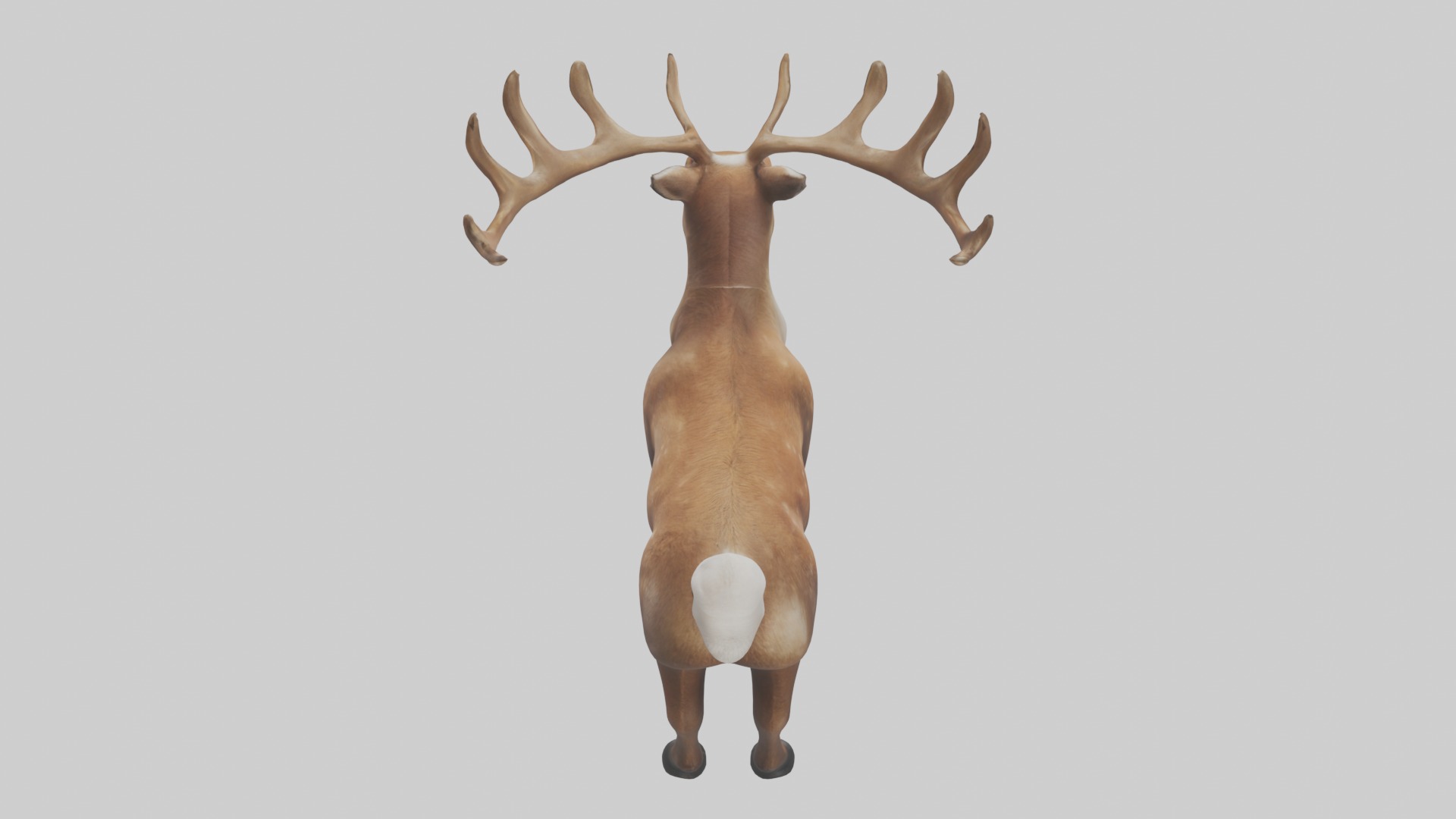 Reindeer deer Low-poly 3D model_9