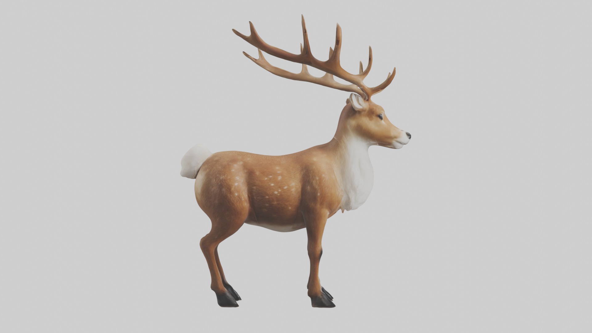 Reindeer deer Low-poly 3D model_7