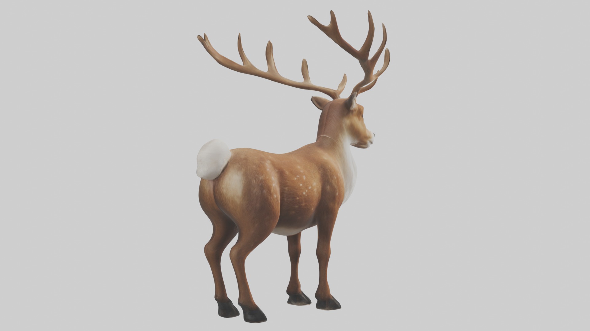 Reindeer deer Low-poly 3D model_4