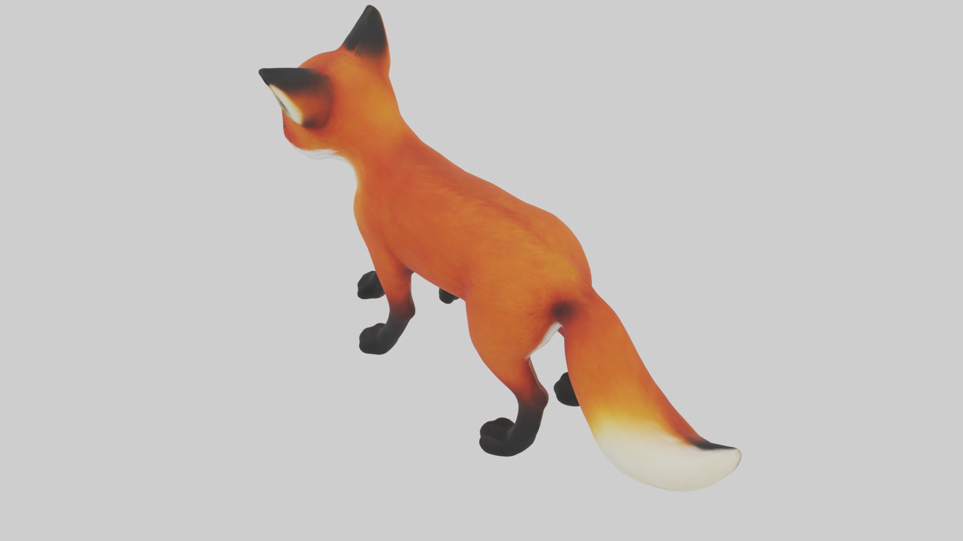Red Fox Low-poly 3D model_9