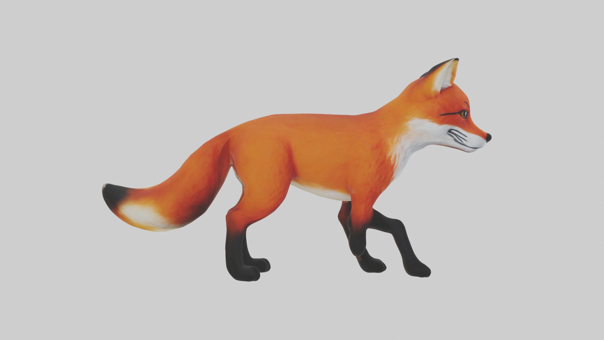 Red Fox Low-poly 3D model_5