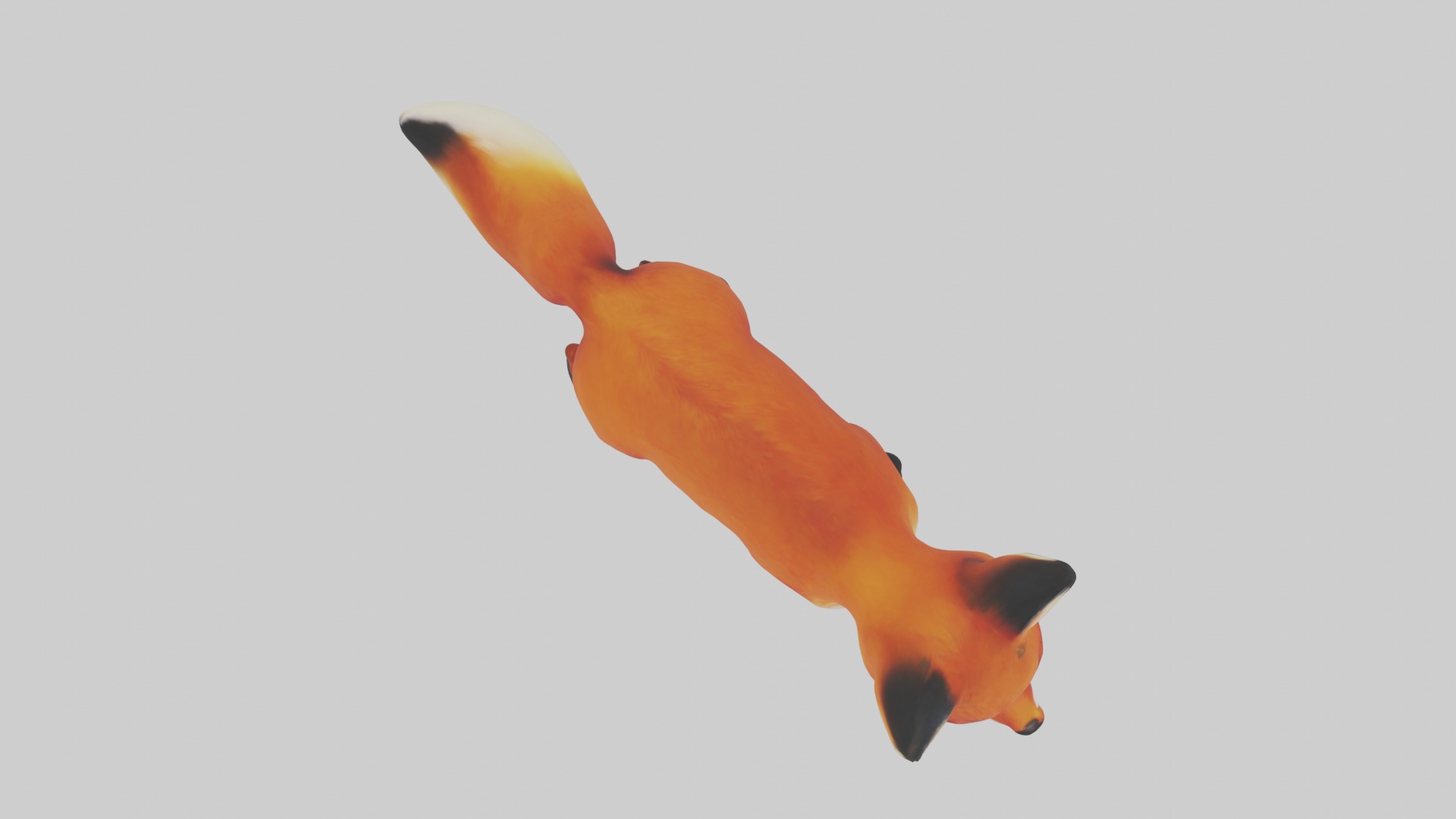 Red Fox Low-poly 3D model_8