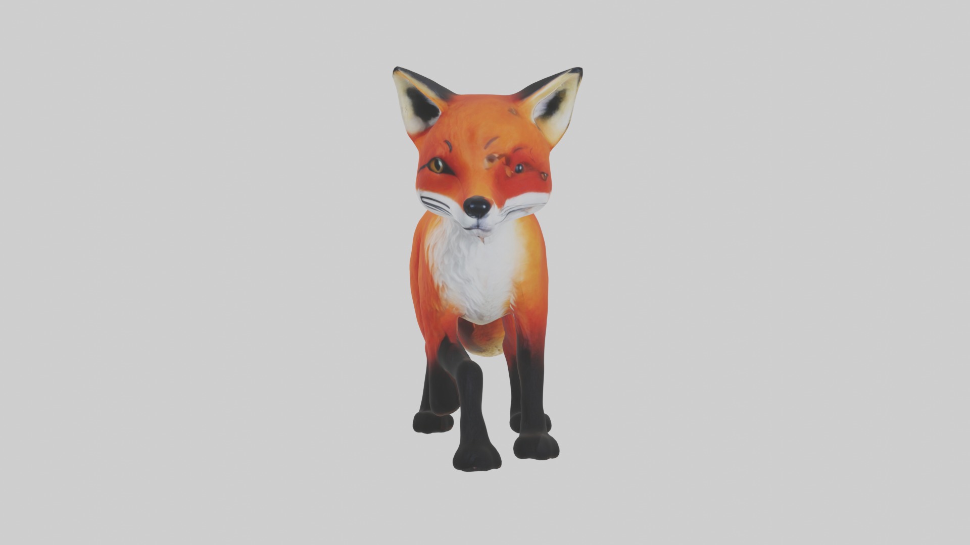 Red Fox Low-poly 3D model_4