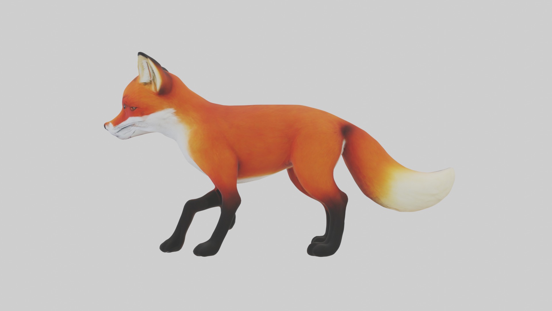 Red Fox Low-poly 3D model_1