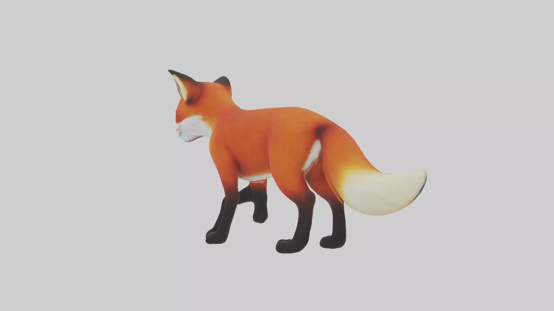 Red Fox Low-poly 3D model_0