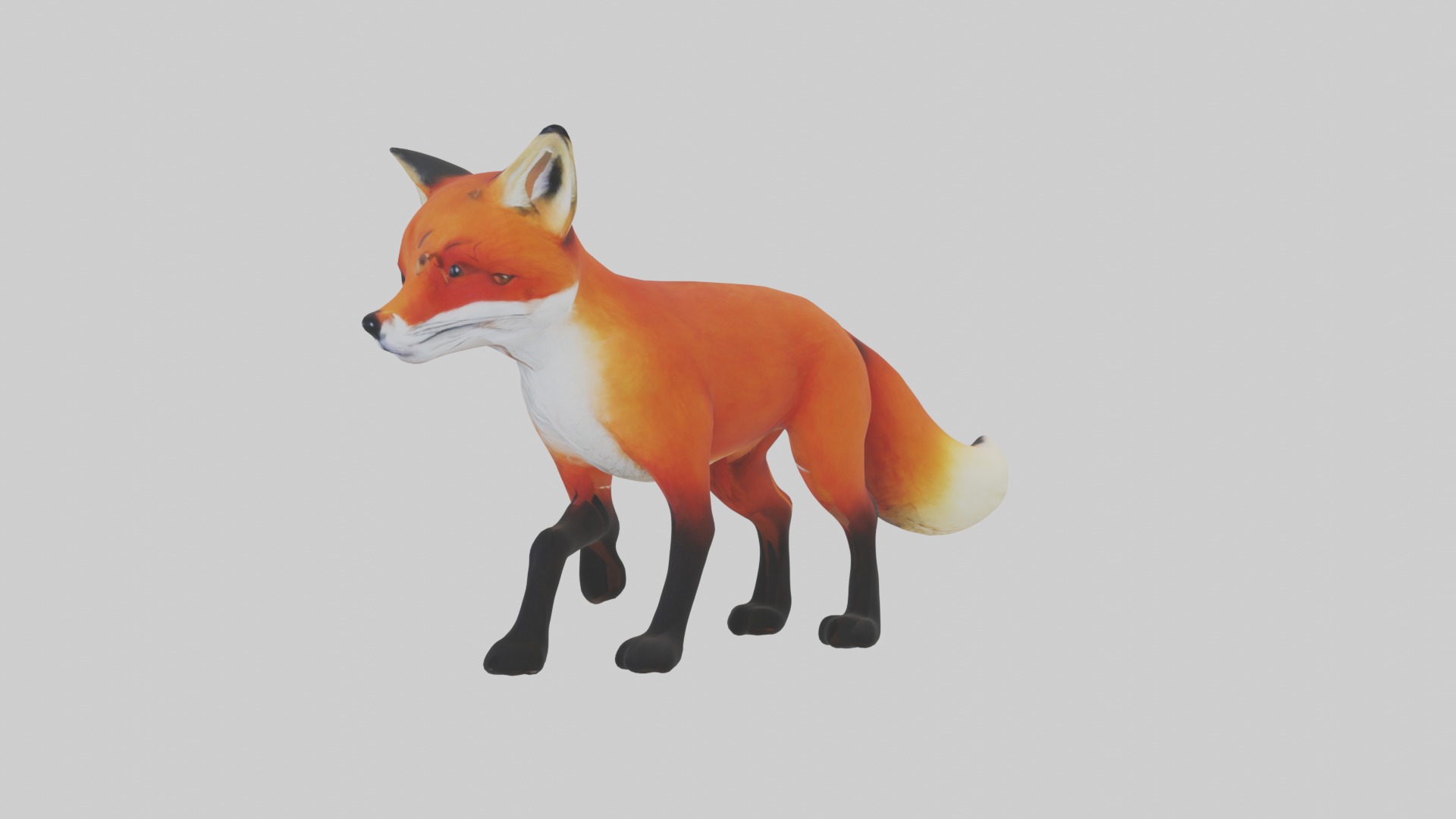 Red Fox Low-poly 3D model_6