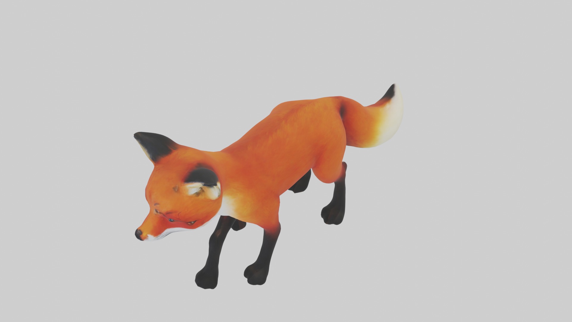 Red Fox Low-poly 3D model_11