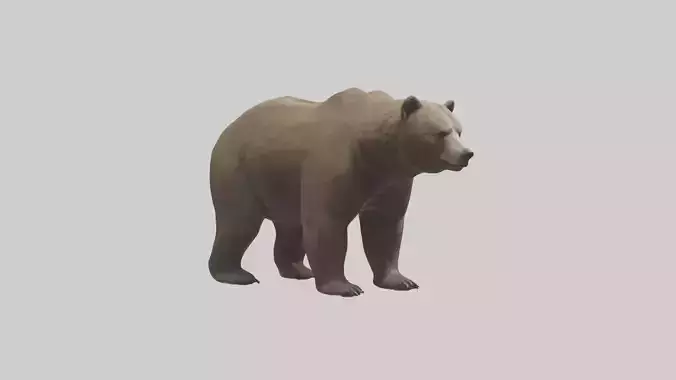Realistic Bear Model