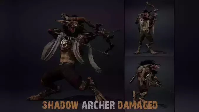 Shadow Archer Damaged