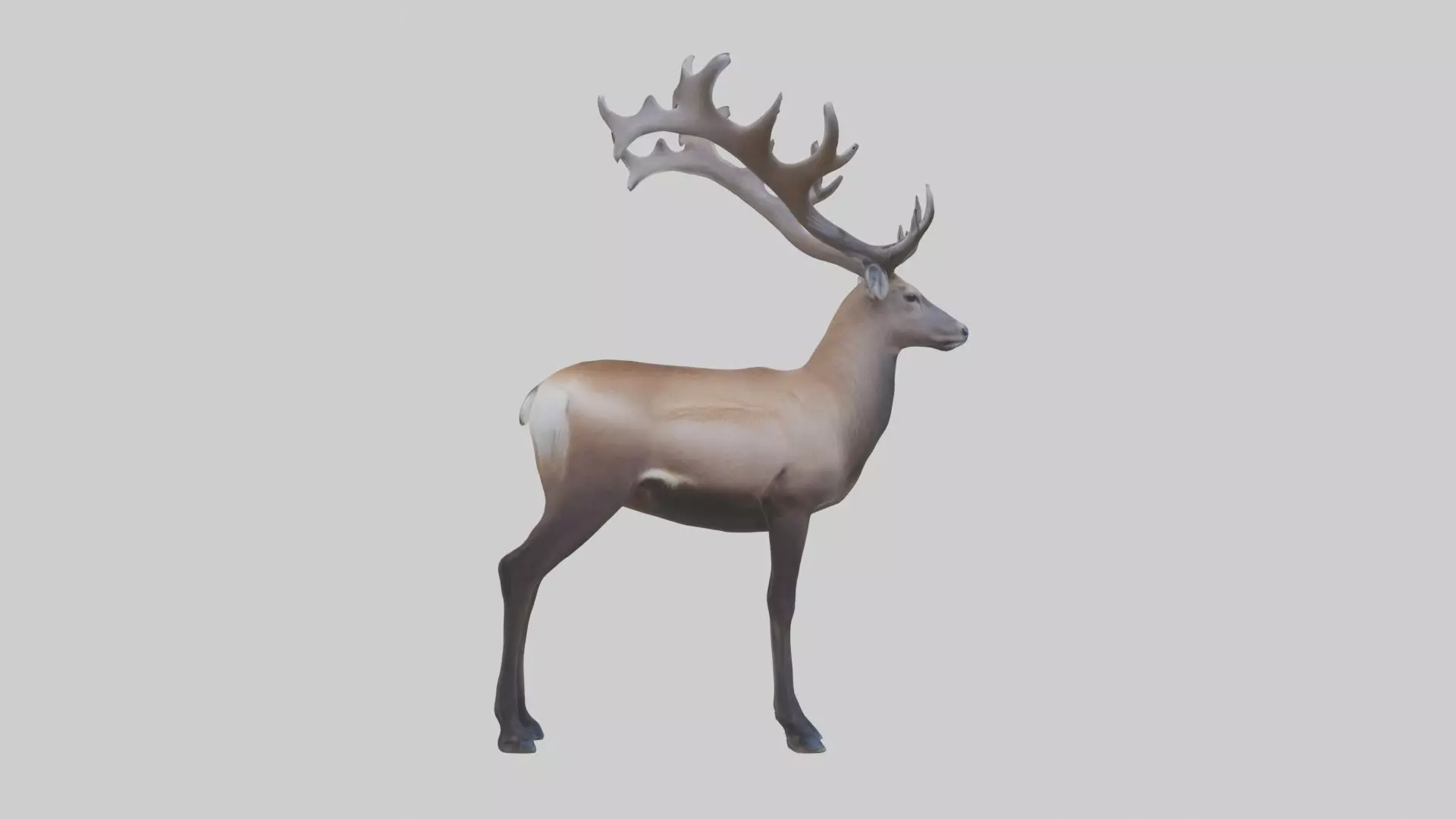 Pere Davids deer Low-poly 3D model_0