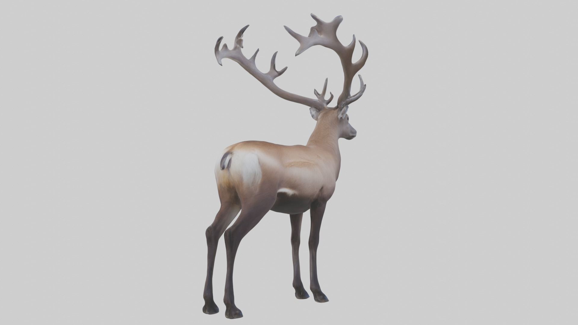 Pere Davids deer Low-poly 3D model_1