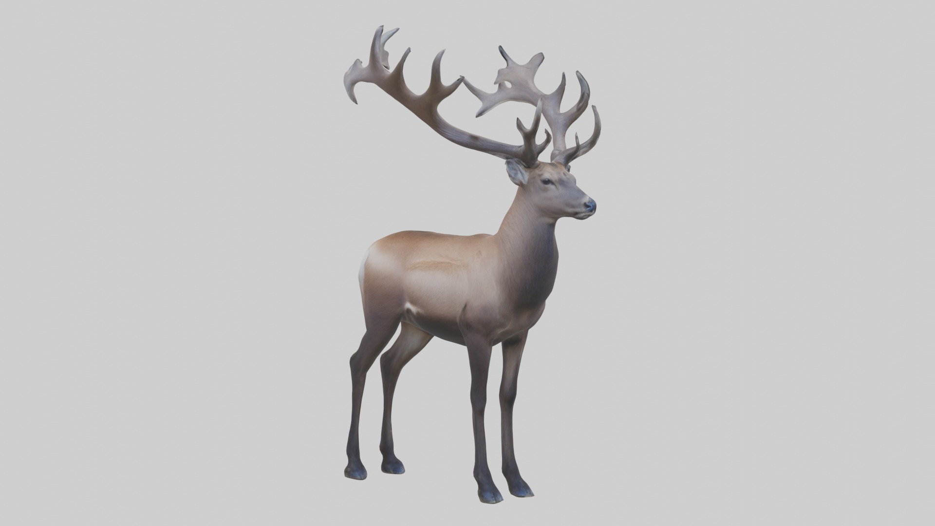Pere Davids deer Low-poly 3D model_2