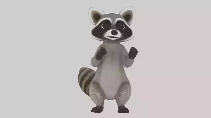 Mexican Raccoon