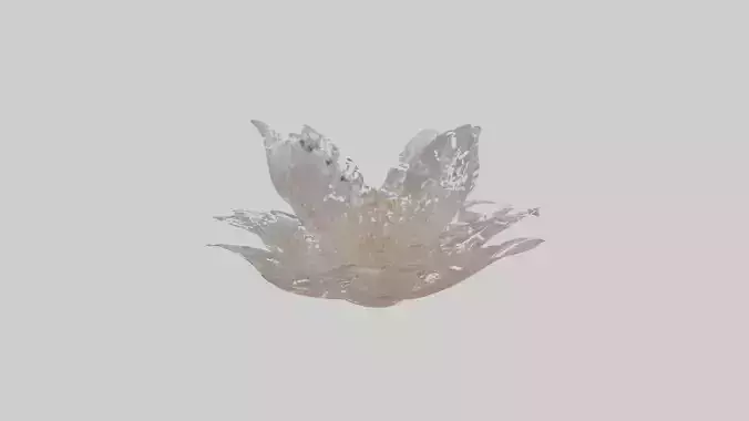 Luminous Pearl Blossom