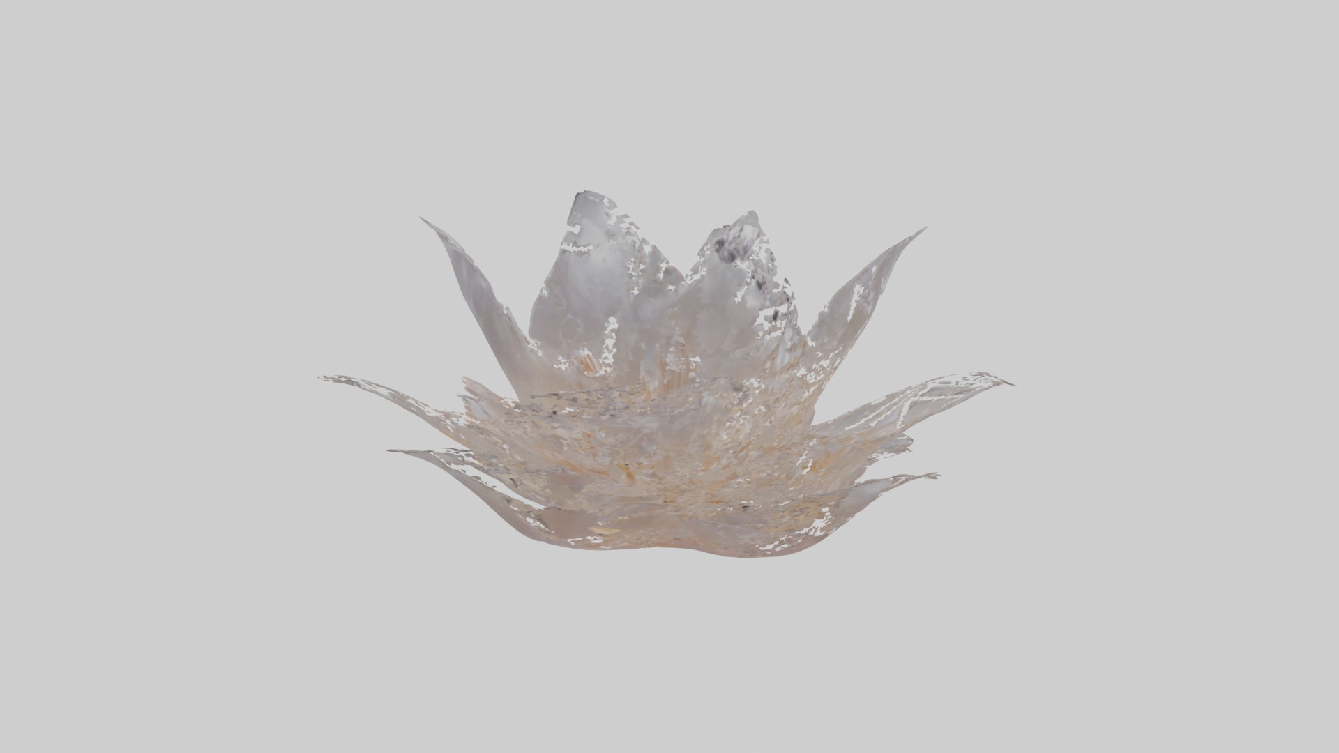 Luminous Pearl Blossom Low-poly 3D model_1