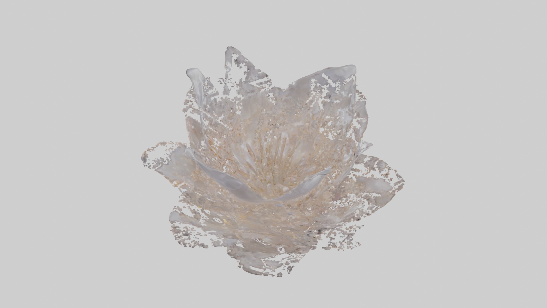 Luminous Pearl Blossom Low-poly 3D model_11