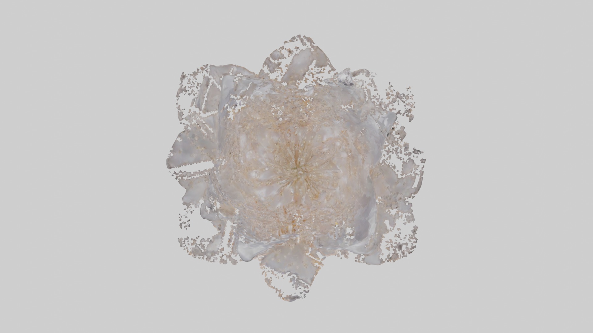 Luminous Pearl Blossom Low-poly 3D model_8