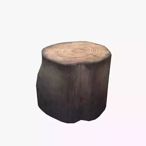 Medieval Butcher Tree Trunk