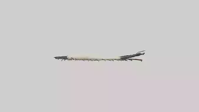 Ivory Millipede Low-poly 3D model
