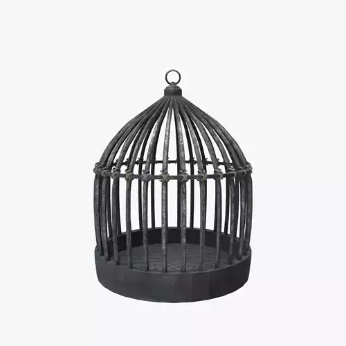 Medieval Cage