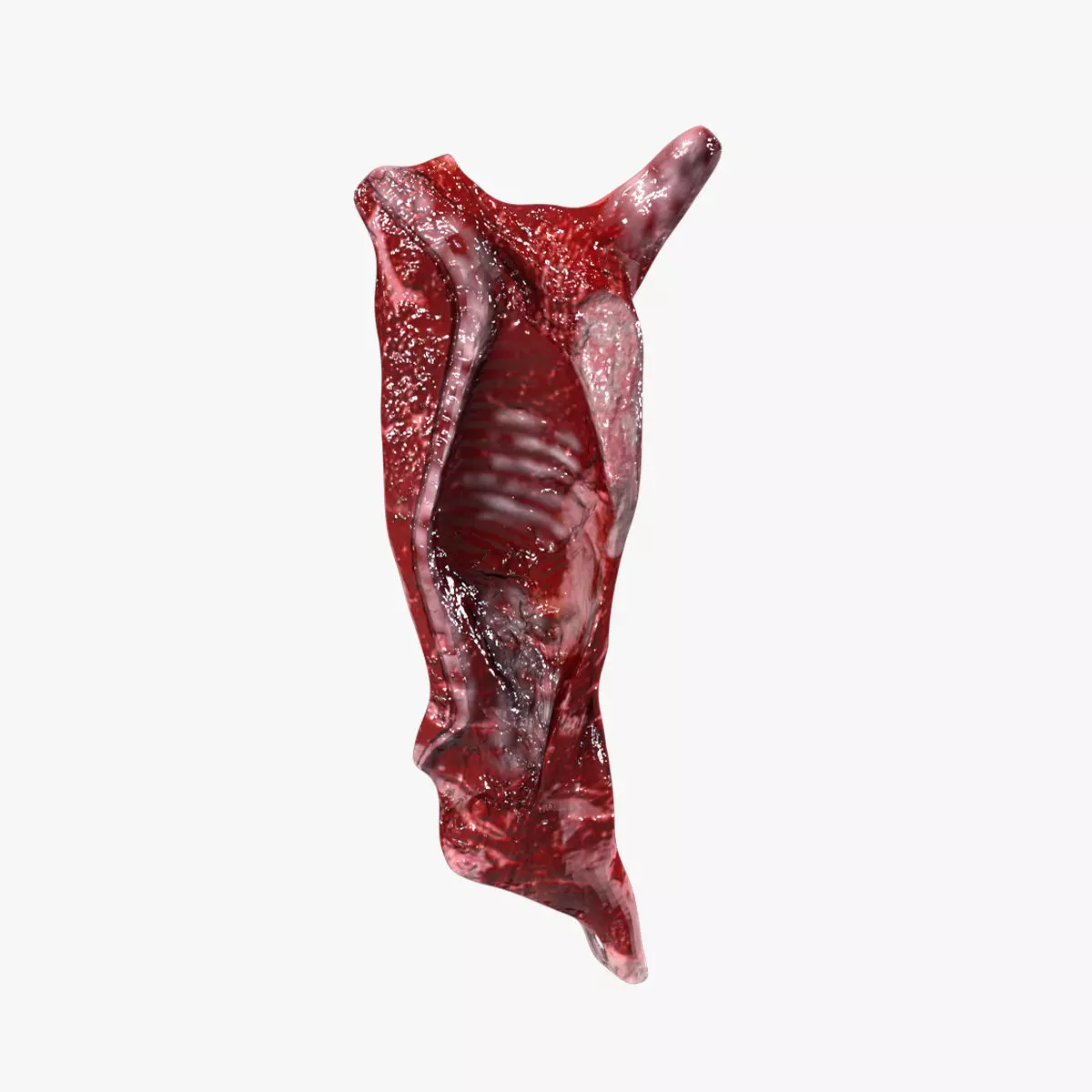 Cow Body Low-poly 3D model_0