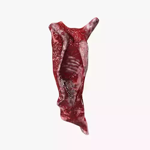 Cow Body Low-poly 3D model