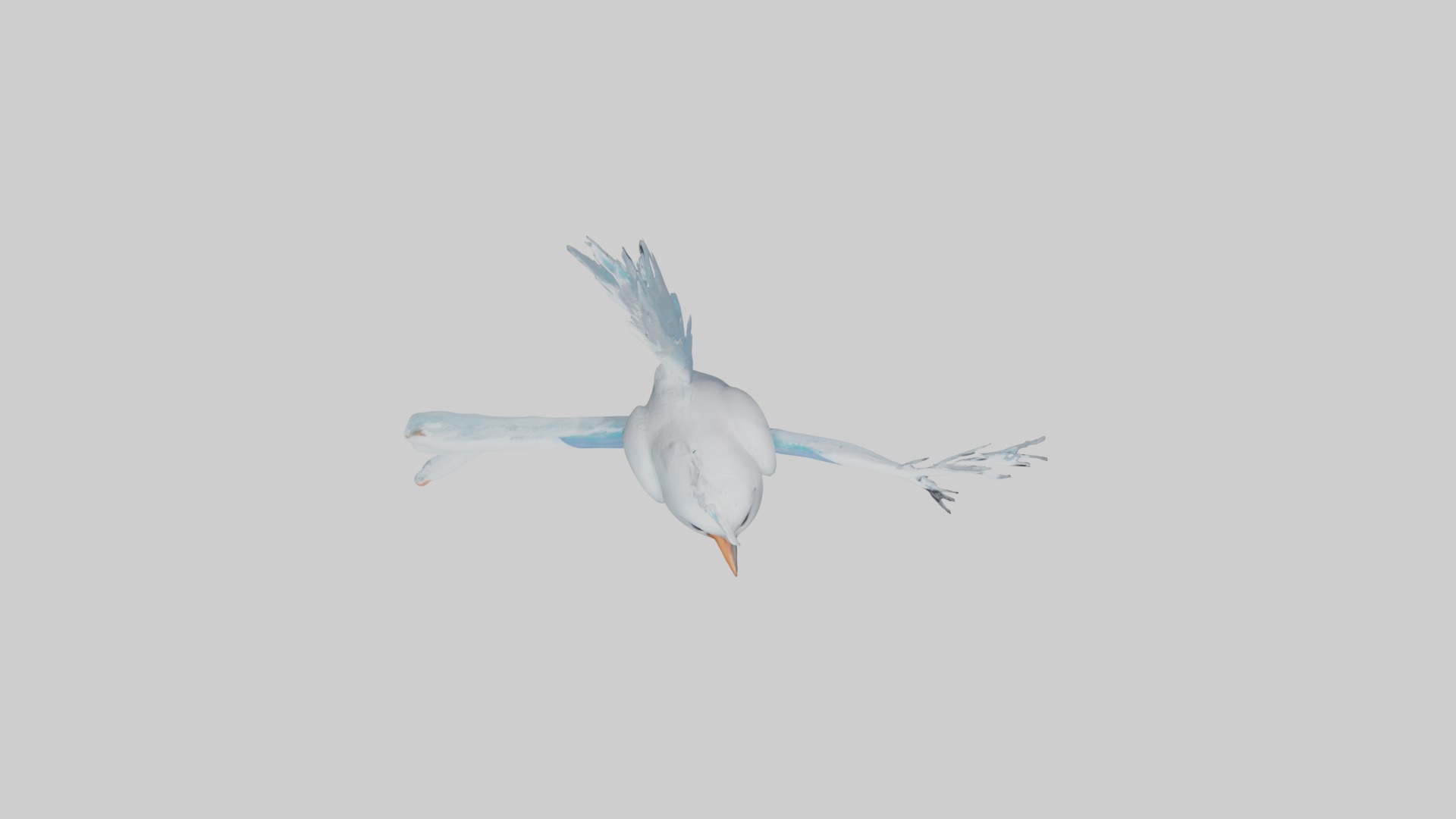 Ice Bird Model Low-poly 3D model_8