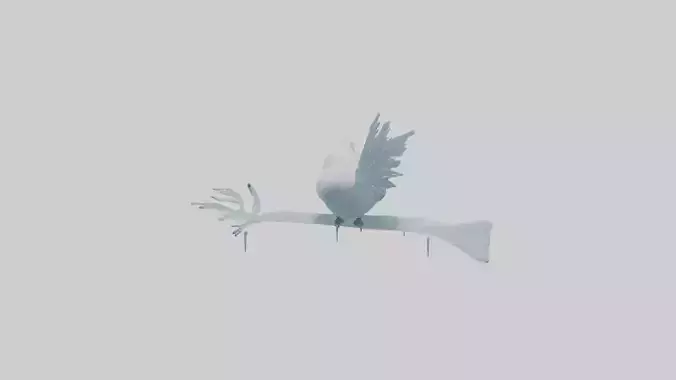 Ice Bird Model